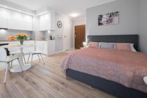 Flow Apartments Toruń, Torun